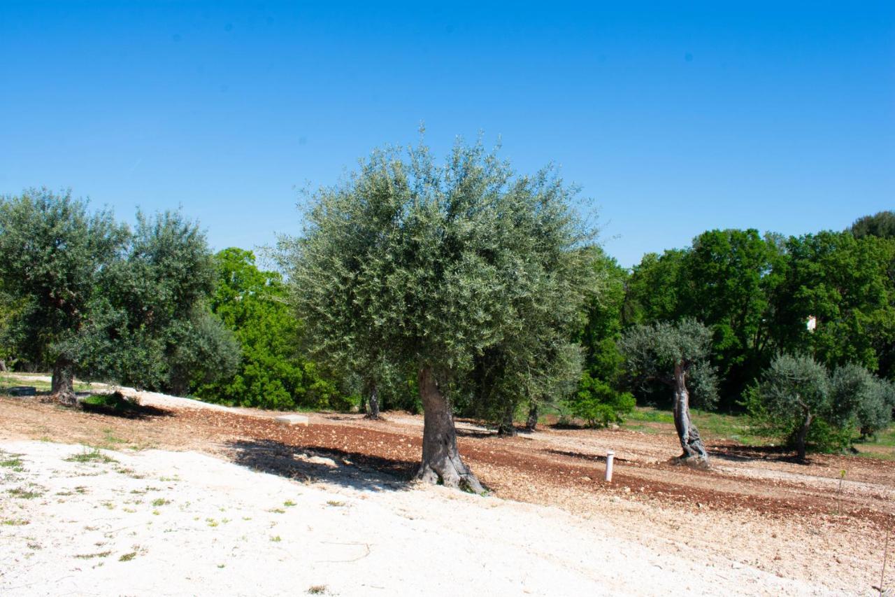 Casale Dello Zio, Private Pool By Il Pumo Di Puglia Villa Castellana Grotte Eksteriør bilde